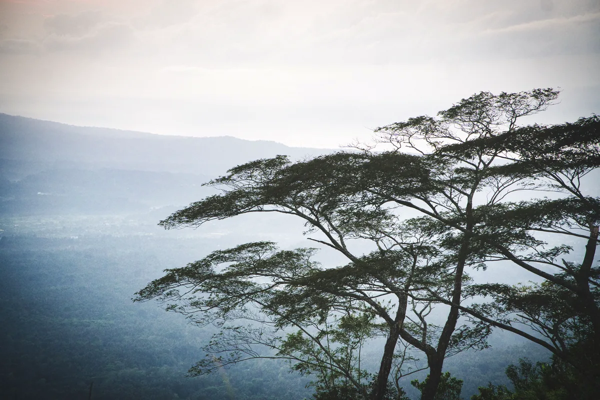 Misty mountains in Bali