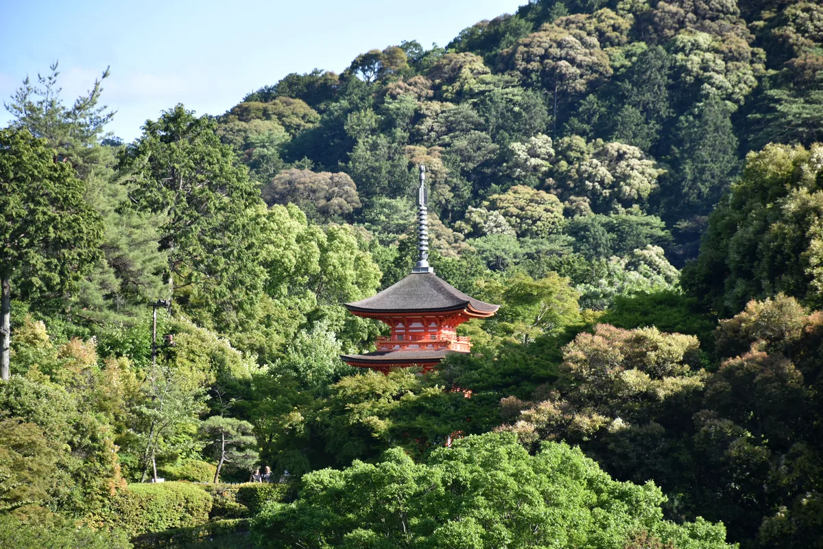 A temple surrounded by forest in Kyoto